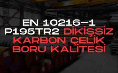 EN 10216-1 P195TR2 Dikişsiz Karbon Çelik Boru Kalitesi