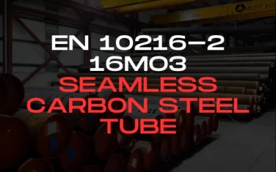 EN 10216-2 16Mo3 Seamless Carbon Steel Tube