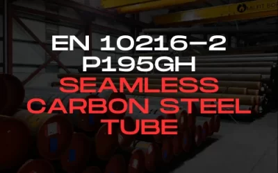 EN 10216-2 P195GH Seamless Carbon Steel Tube